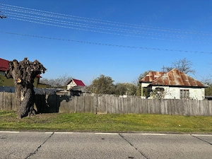 Vand teren intravilan cu casa batraneasca 3750 metri patrati
