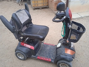 Căruț handicap electric