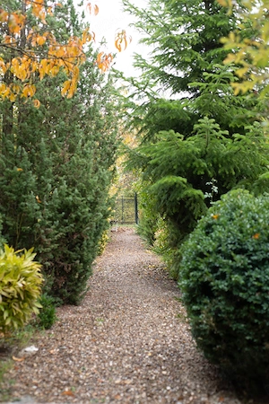 Casa si teren zona deosebita - imagine 10