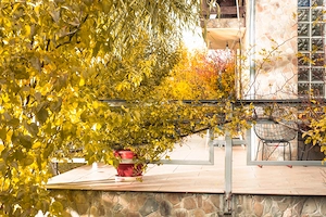 Casa si teren zona deosebita - imagine 9