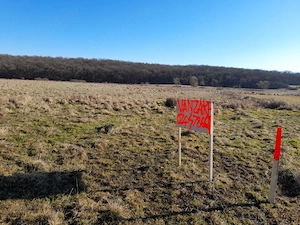  Teren intravilan in orasul Reghin cu suprafata de 5800 mp - imagine 2