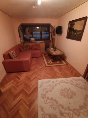 250 E apartament mobilat ,utilat merita văzut 100%