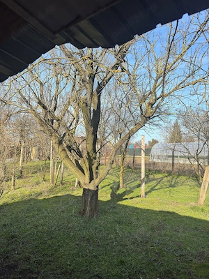 Casă cu teren1000mp - imagine 3