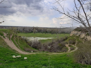 Teren intravilan 3000 metri patrati, sat Ciulnita, comuna Ciulnita, judet Ialomita - imagine 3