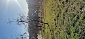 Teren Intravilan Horezu   Panoramă Superbă & Toate Utilitățile la Poartă - imagine 5