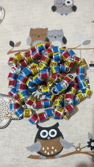 inele porumbei de asociatie UCP 2026 - imagine 4