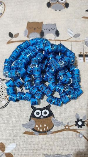 inele porumbei de asociatie UCP 2026 - imagine 2