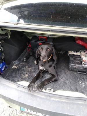 Donez Brac German  - imagine 3