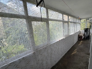 Apartament 3 Camere de Inchiriat - Ploiesti Vest - imagine 10