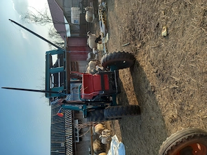 Vând Massey Ferguson - imagine 2