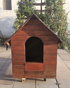 Cusca din lemn pentru caini