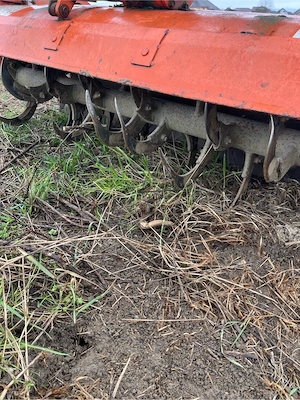 Freza japoneza  - imagine 2