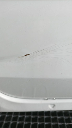 Logan 3 2022 1.0 L , GPL , 33000Km ,8500 euro Neg. - imagine 10