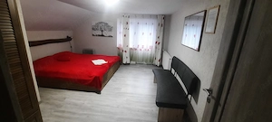 CASĂ lângă râu, Hunedoara - imagine 5