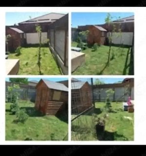 Vând duplex, zona stadion comuna Berceni  - imagine 3