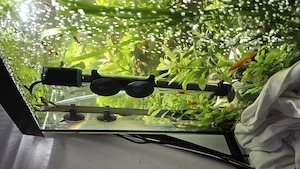 Vand acvariu 112L complet echipat. - imagine 5