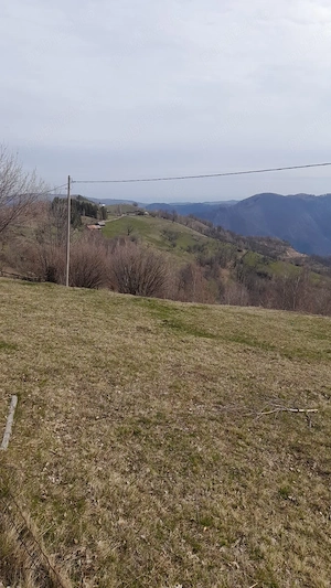 Vand teren( ideal pentru cabana sau casa de vacanta )  - imagine 3