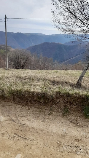 Vand teren( ideal pentru cabana sau casa de vacanta )  - imagine 5