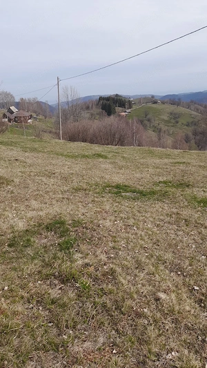 Vand teren( ideal pentru cabana sau casa de vacanta )  - imagine 4