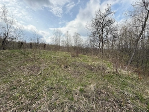 Casa de vanzare cu teren 1949mp in Pietrisu, Poiana Campina, Campina - imagine 7