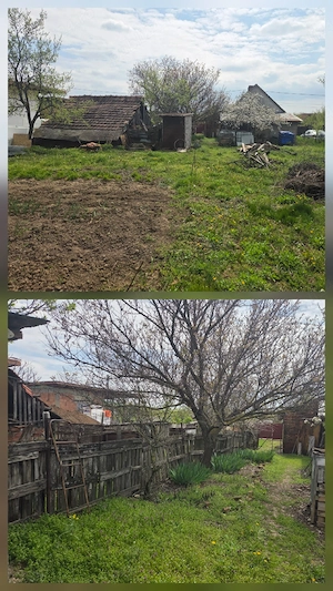 Casă de vânzare, teren 1439 mp, Ianova - imagine 3