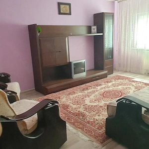 Apartament 2 camere, Tineretului - imagine 8