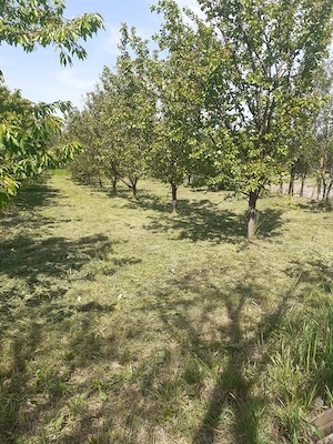 Casă de vânzare Visag - imagine 7