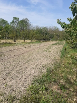 Casă de vânzare Visag - imagine 8