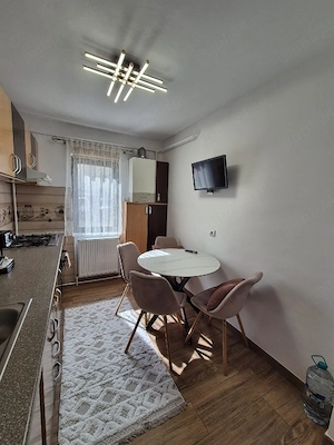 Apartament Stefania in regim hotelier - imagine 4