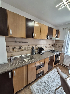 Apartament Stefania in regim hotelier - imagine 3