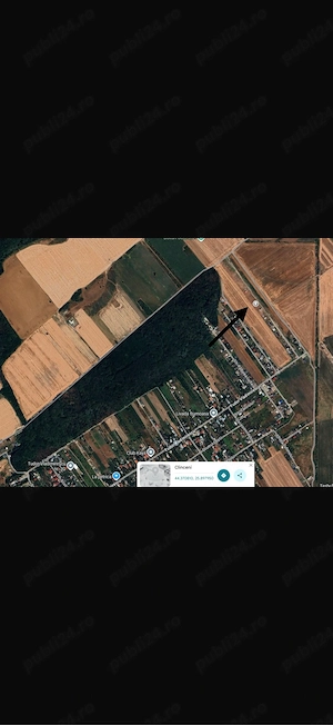 Teren Clinceni Ilfov-441 mp - imagine 2