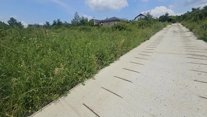 PF Teren intravilan , Bucium Barnova - imagine 3