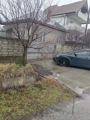 Proprietate cu 2 case, livadă, vie și teren 1450 mp - imagine 5