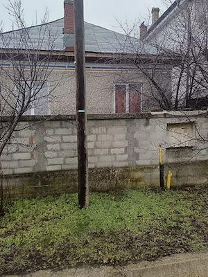 Proprietate cu 2 case, livadă, vie și teren 1450 mp - imagine 4