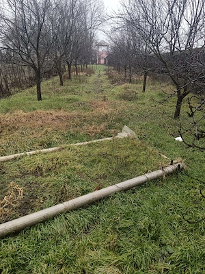 Proprietate cu 2 case, livadă, vie și teren 1450 mp - imagine 8