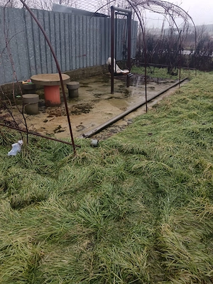 Proprietate cu 2 case, livadă, vie și teren 1450 mp - imagine 10