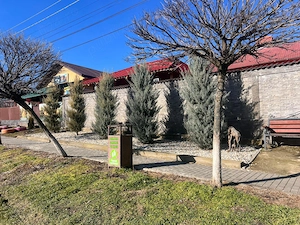 Casa de vanzare Putineiu 