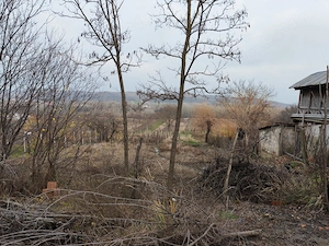 Casa bătrâneasca Sutesti - imagine 4