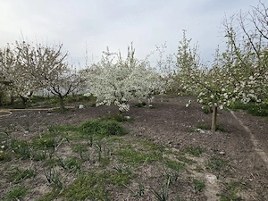  Teren intravilan in vatra veche a localitatii SAG - imagine 9