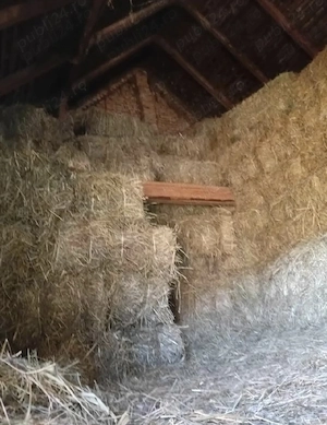 De vânzare baloți de fân 