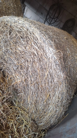 Vand rotobali de fân 