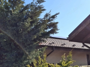 Casa individuala 4 camere  Balotesti Good Afternoon Residence - imagine 17