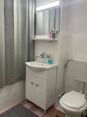 Vand garsoniera Lapus Arges - imagine 4