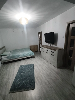 Vand garsoniera Lapus Arges - imagine 2