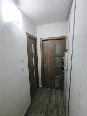 Vand garsoniera Lapus Arges - imagine 6