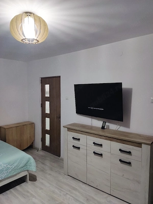 Vand garsoniera Lapus Arges - imagine 8