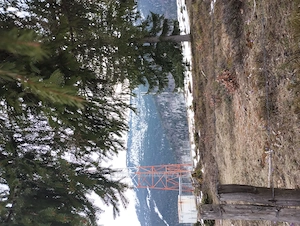 Vând teren extravilan - 5.000 mp - 2 km de statiunea Vârtop - imagine 4