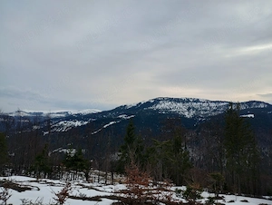 Vând teren extravilan - 5.000 mp - 2 km de statiunea Vârtop - imagine 3
