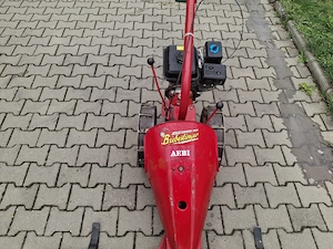 motocositoare AEBI - imagine 2