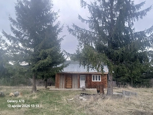 Cabana de inchiriat!